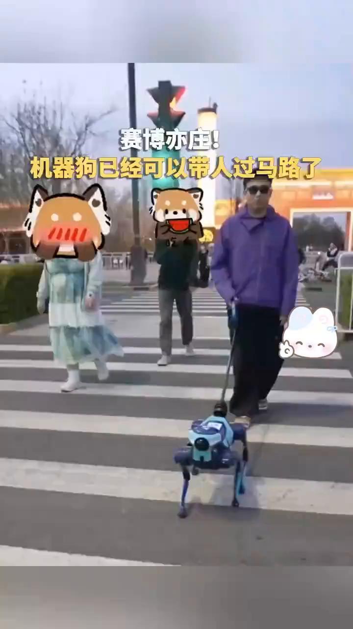 赛博亦庄！机器狗已经可以带人过马路了。近日，有网友在北京亦庄街头偶遇一只正在测