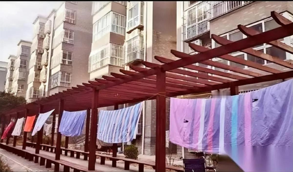 我发现个特有意思的事——高档小区很少有人晒被子反而老破小一到晴天全是“被