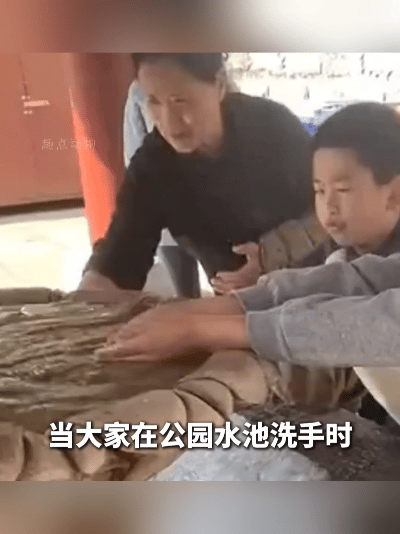 这才是刻在骨子里的善良！小男孩喂猫的样子，暖到心尖儿了！公园里大家都在水池