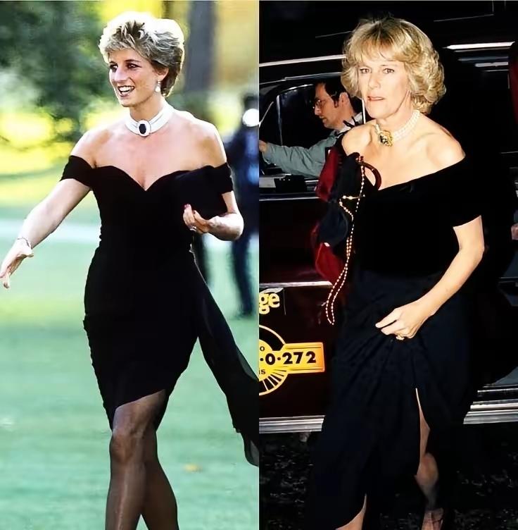 “东施效颦”的卡米拉，终究成了一个笑话！想复制戴安娜，卡米拉是真的敢想呀！黑