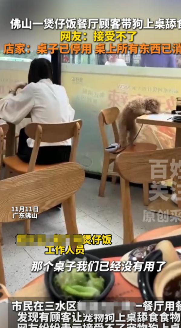 “太缺德了！”11月11日，广东佛山，一女子带狗出来吃饭，餐厅门口有张贴的告示：