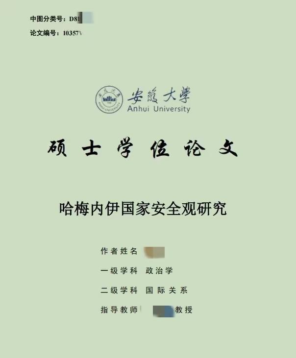 导师：杜文龙，李莉，沈逸，张维为等等。