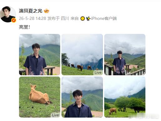 夏之光镜头里的世界好美自然的美被完整保留，通透又明亮，像一场温柔的视觉治愈。