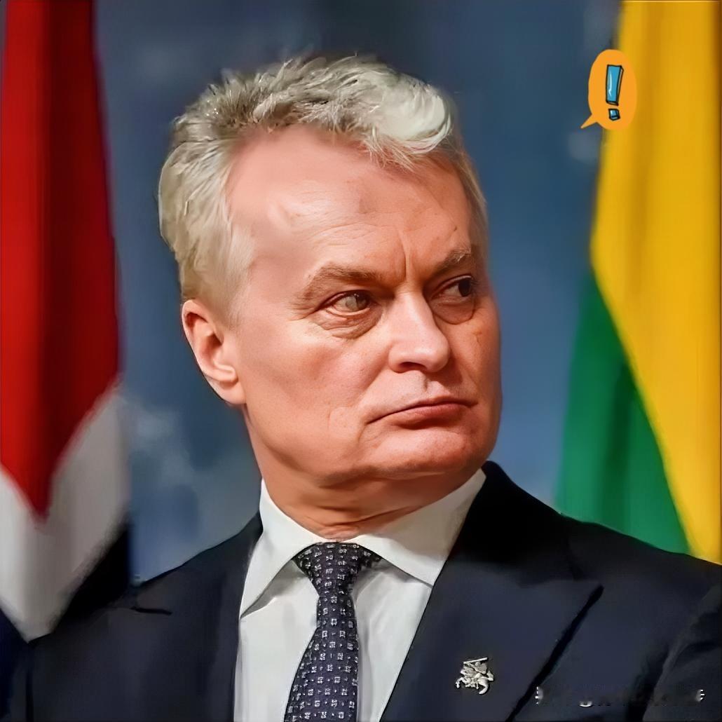 立陶宛总统：盼率团访华，简直望眼欲穿！今日凌晨，立陶宛总统受访时表达了急切