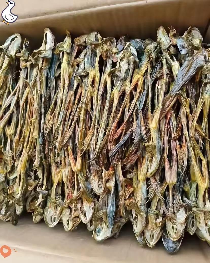 你看出来这是什么了吗？