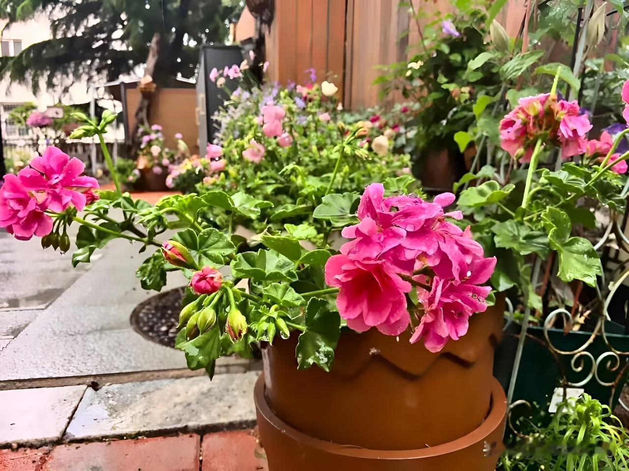 有点男人味的男人都知道小姐跟小姐姐是一回事吗?人家选的是中华小姐,又不是中华小姐