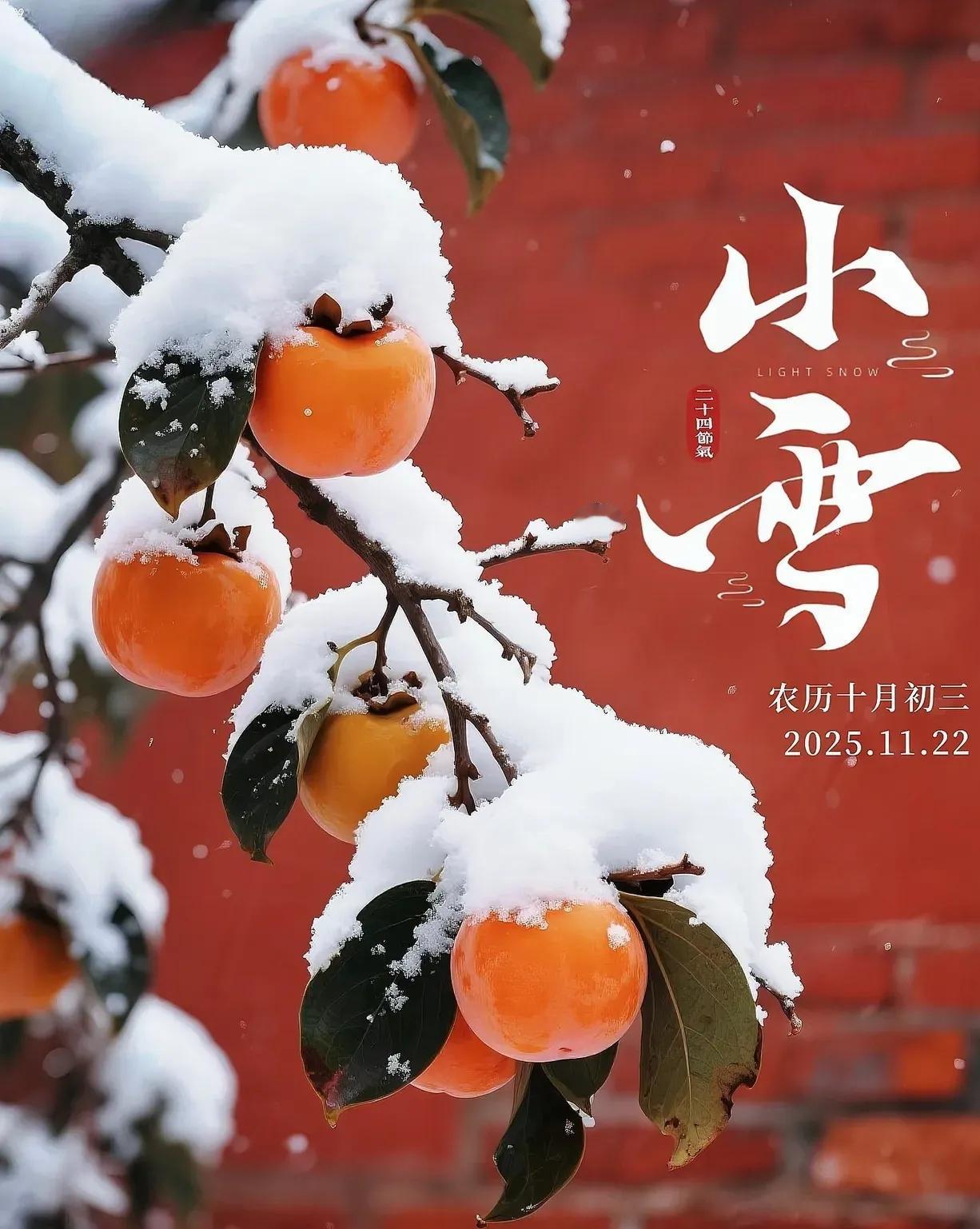 9点35分交节！60年一遇的早小雪，这冬天的冷怕是藏不住了！别觉得立冬