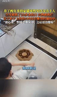 “真绷不住了！”湖北武汉，一男子想跟养了2年多的猫咪玩耍，谁料，猫咪突然发狂攻击