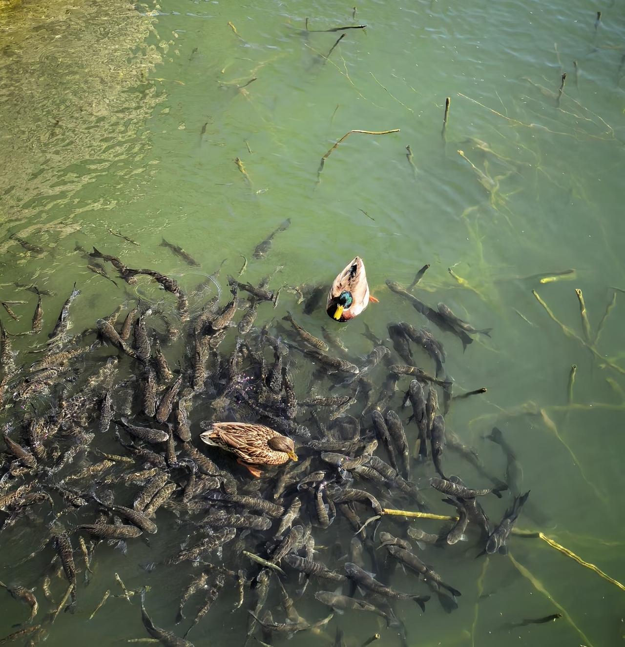 长沙最近阴雨连绵，每年这个时候都这样，家里就像泡在水里。晾不干衣服，家具摸着