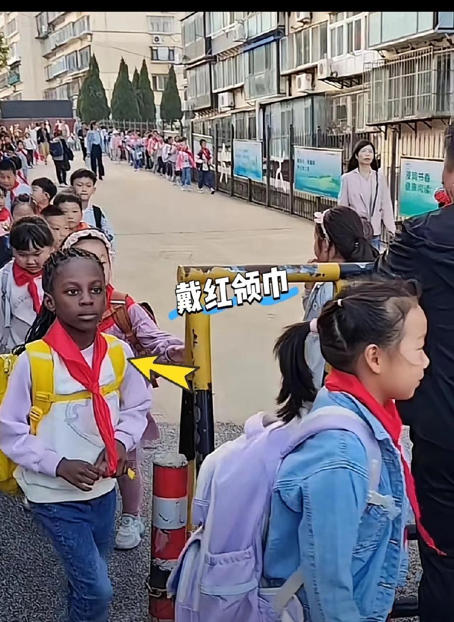 警惕引入移民！无论是发展东方大国家还是发达国家，在解决人口结构的问题上，都或