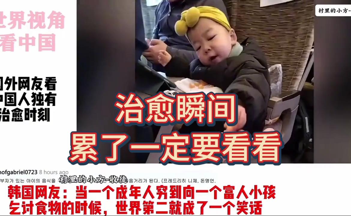 China's Unique Healing Moments: Foreign Netizens Rave About This Video