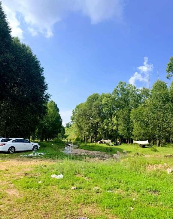 太原神仙露营地✨自驾1h直达！人少免费巨治愈太原周末不知道去哪？挖到一处市区
