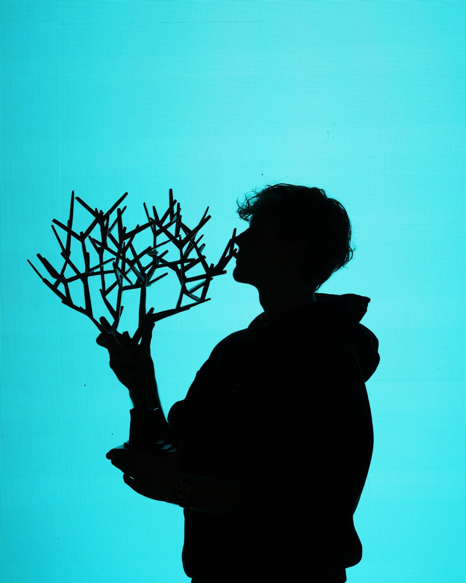 阿卡辛纳将在都灵争夺年终第一，剧情错综复杂。进入总决赛的那周，阿卡将暂回世界第一