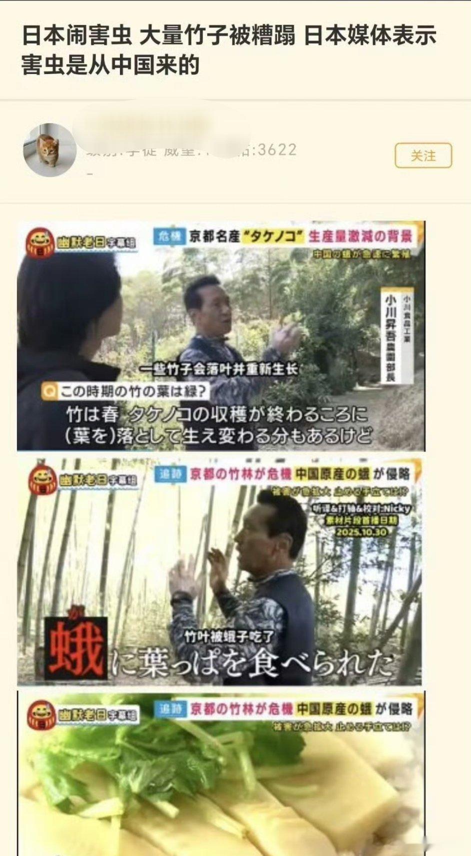 日本人已经形成路径依赖了,遇事不决怪中国