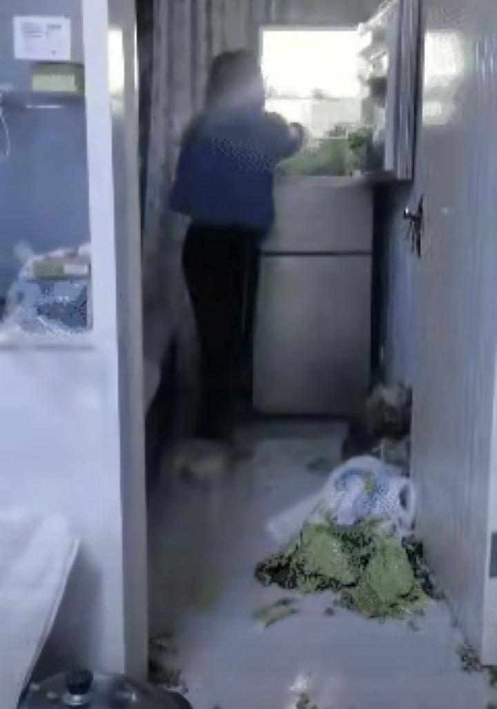 母亲到城里来看望儿子，来的时候背着一箩筐白菜！儿子看到母亲背着满满的一筐白菜，心