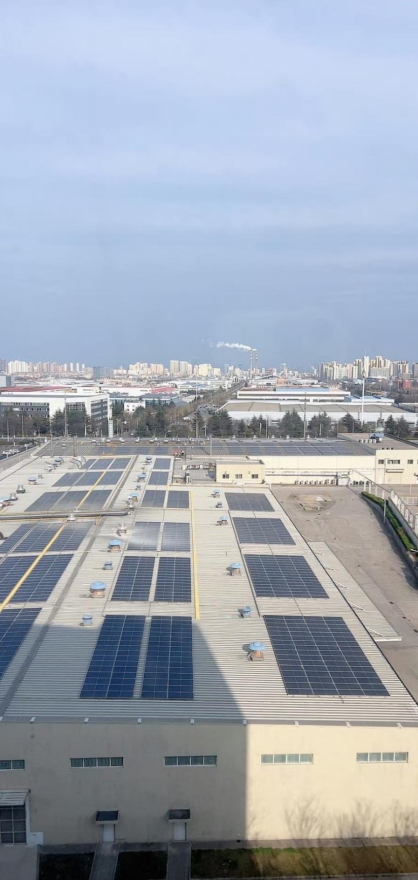 今日运势：丙午年辛卯月癸未日2026.3.10日鼠：注意身边小人牛：避