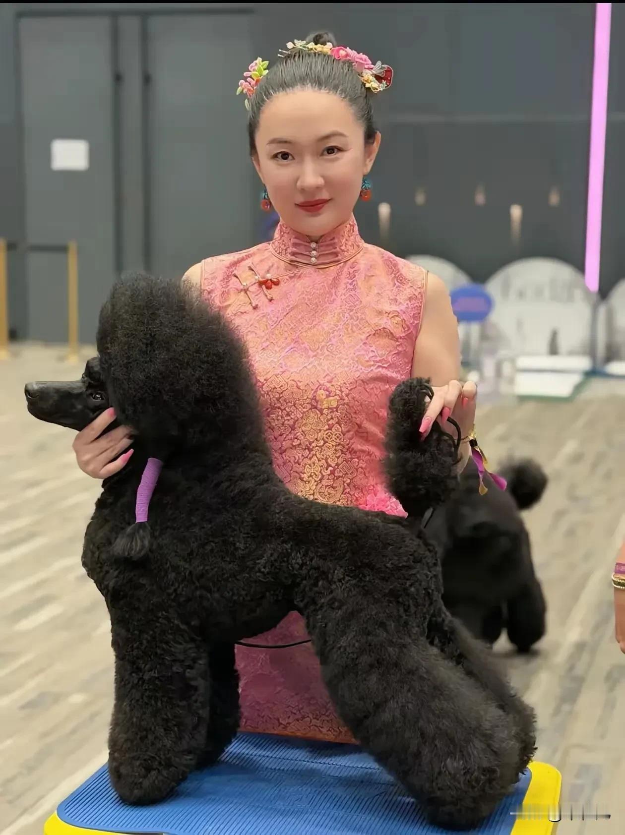 我问邻居宠物店老板霍思燕家那只狗真的那么贵吗？不就是狗吗？还参加比赛​