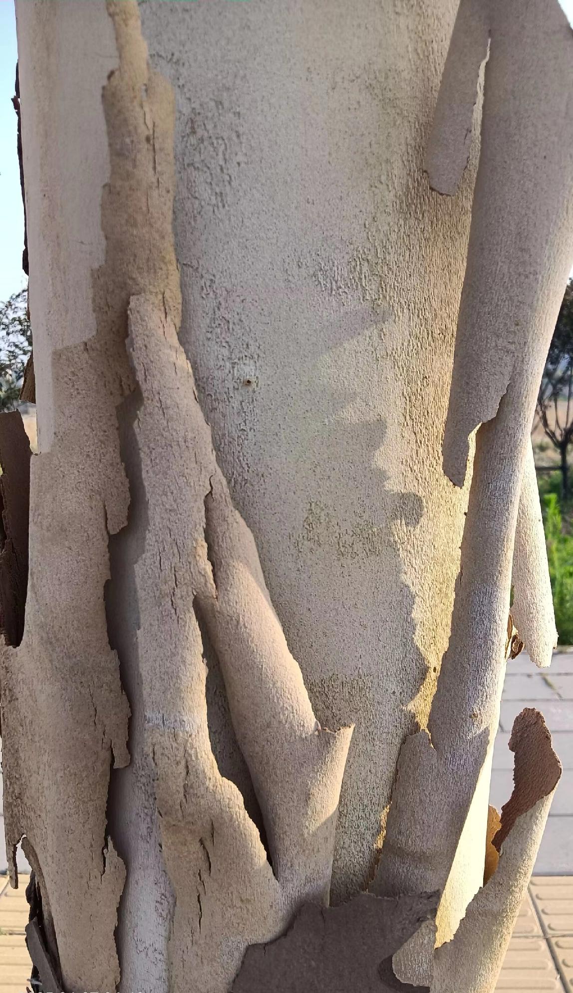 不要输在工作的起跑线上认识一个女人真有本事，儿子高中毕业，托关系找人把大儿子