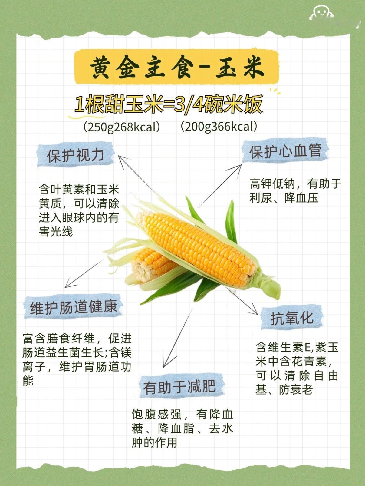 玉米是名副其实的黄金主食在所有主食中，玉米的营养价值和保健作用是很高的，被誉为“
