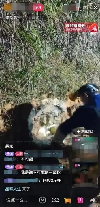 直播间的老铁们看好了,今晚挖条大的!59岁的湖南邵阳老尹对着镜头兴奋吆喝,没想到