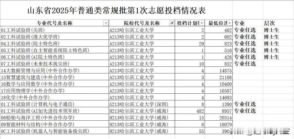 哈工大这三校区招生政策无敌了，冷门专业全部丢中外合办，连大数据这种热门专业都扔中
