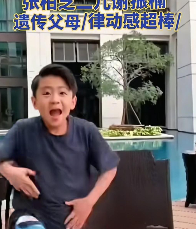 张柏芝二儿子谢振南跳舞的视频，真是藏不住的光芒。那股子镜头感和节奏感，一看就是