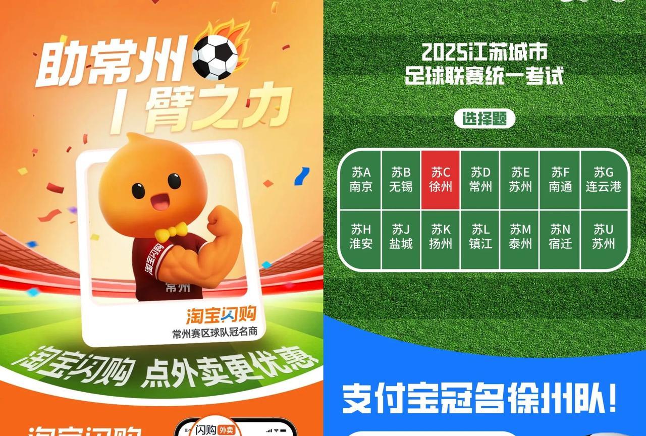 糟糕！淘宝冠名常州队：1臂之力支付宝冠名徐州队：选苏c花呗自己问网友：我
