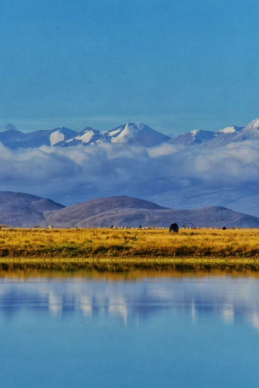 阿里，是“中国最独一无二的世外天堂”，可唯有勇者，才有机会看到这条路上最恢宏的风