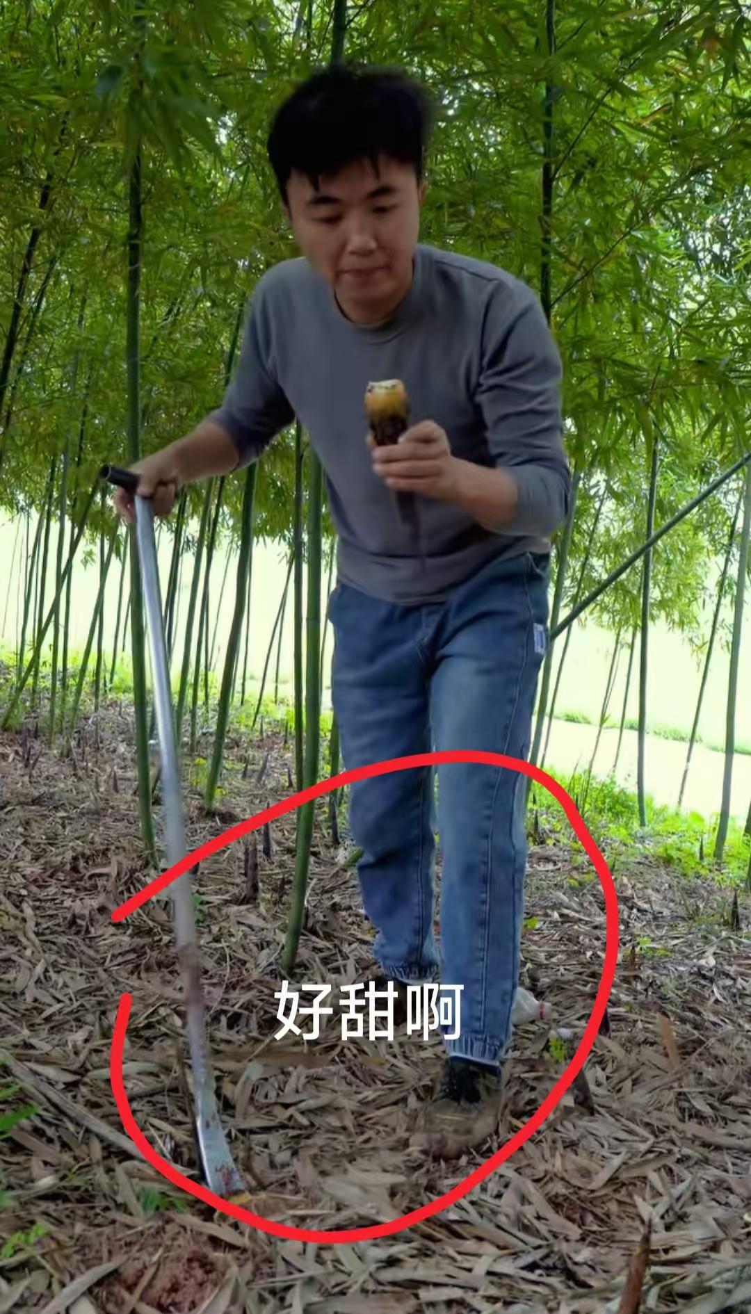 现在全网最烦恼的男人就是徐三娃了吧！不是因为挖笋卖不出去，也不是因为摆摊被城管