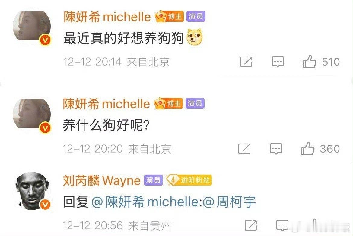 狙击蝴蝶nonono狙击陈晓gogogo还得是刘芮麟，直接杀死了这场比赛陈妍