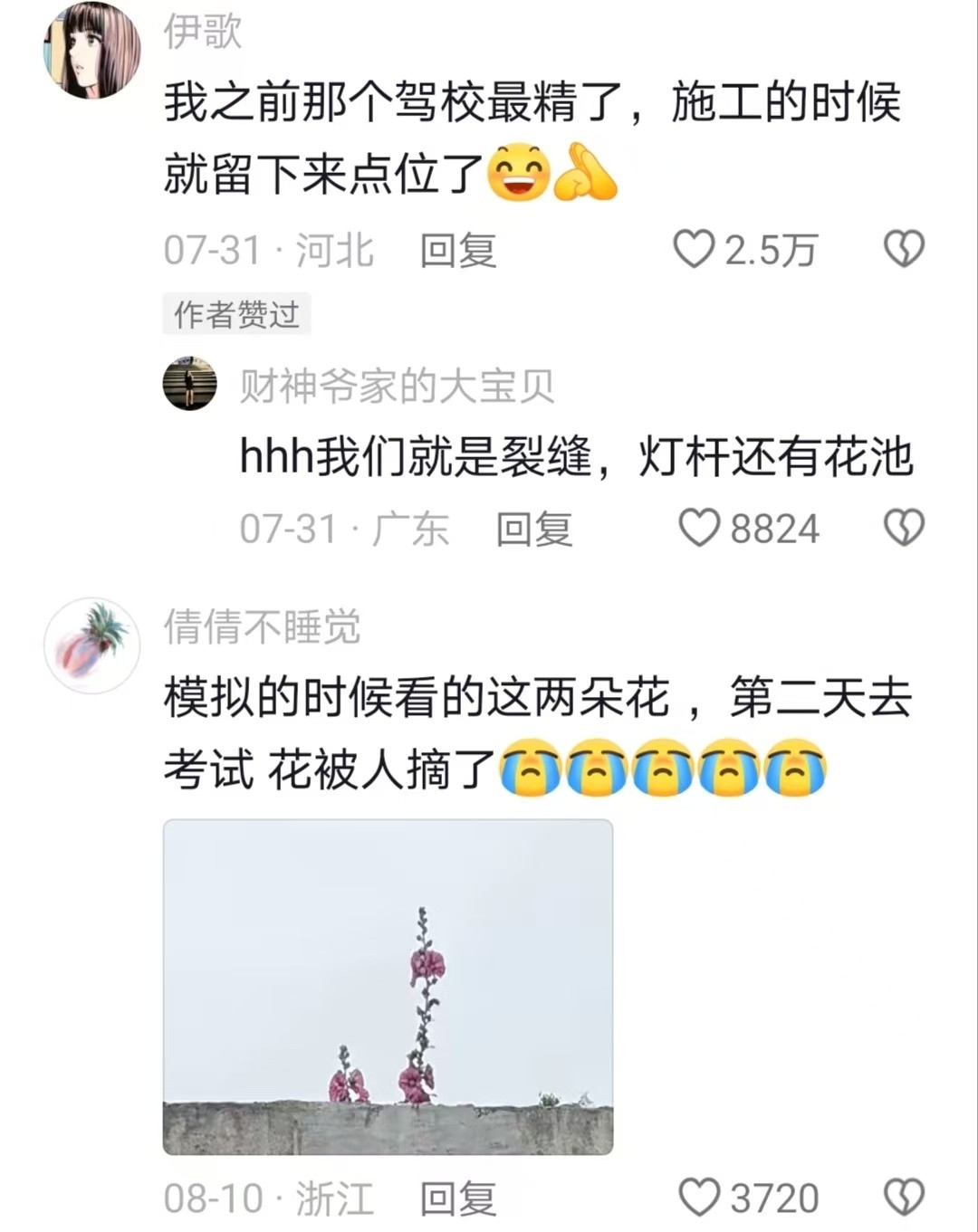 练车人天塌了你切记驾校的一草一木一砖一瓦都有它存在的价值