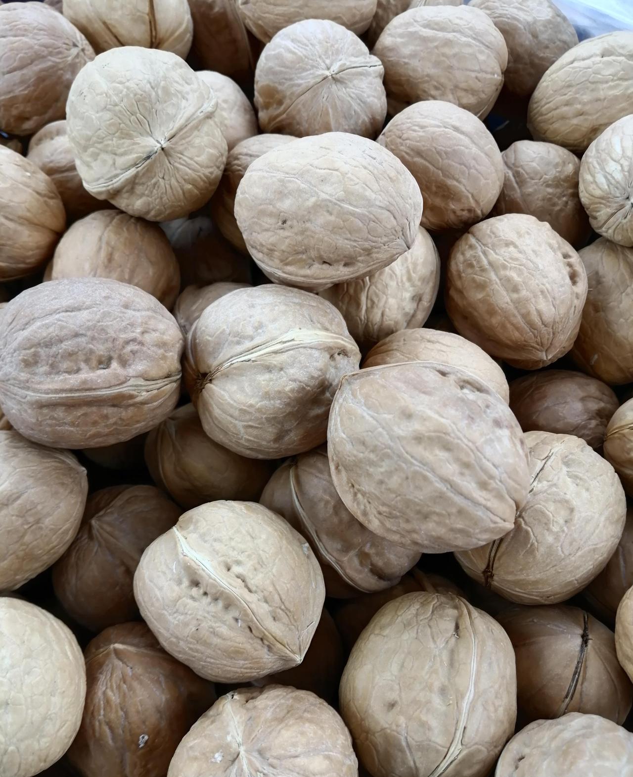 今天载了一个到成都四医院的客人，他问我到四医院要多少钱，我说二十元钱，他说贵了，