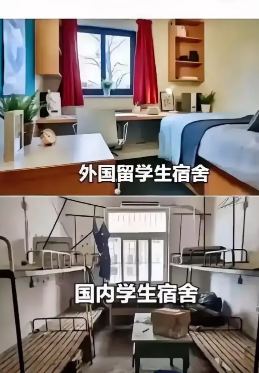 最近，留学生圈炸开了锅！清北等高校动真格，严查留学生管理，不少“混日子”的留