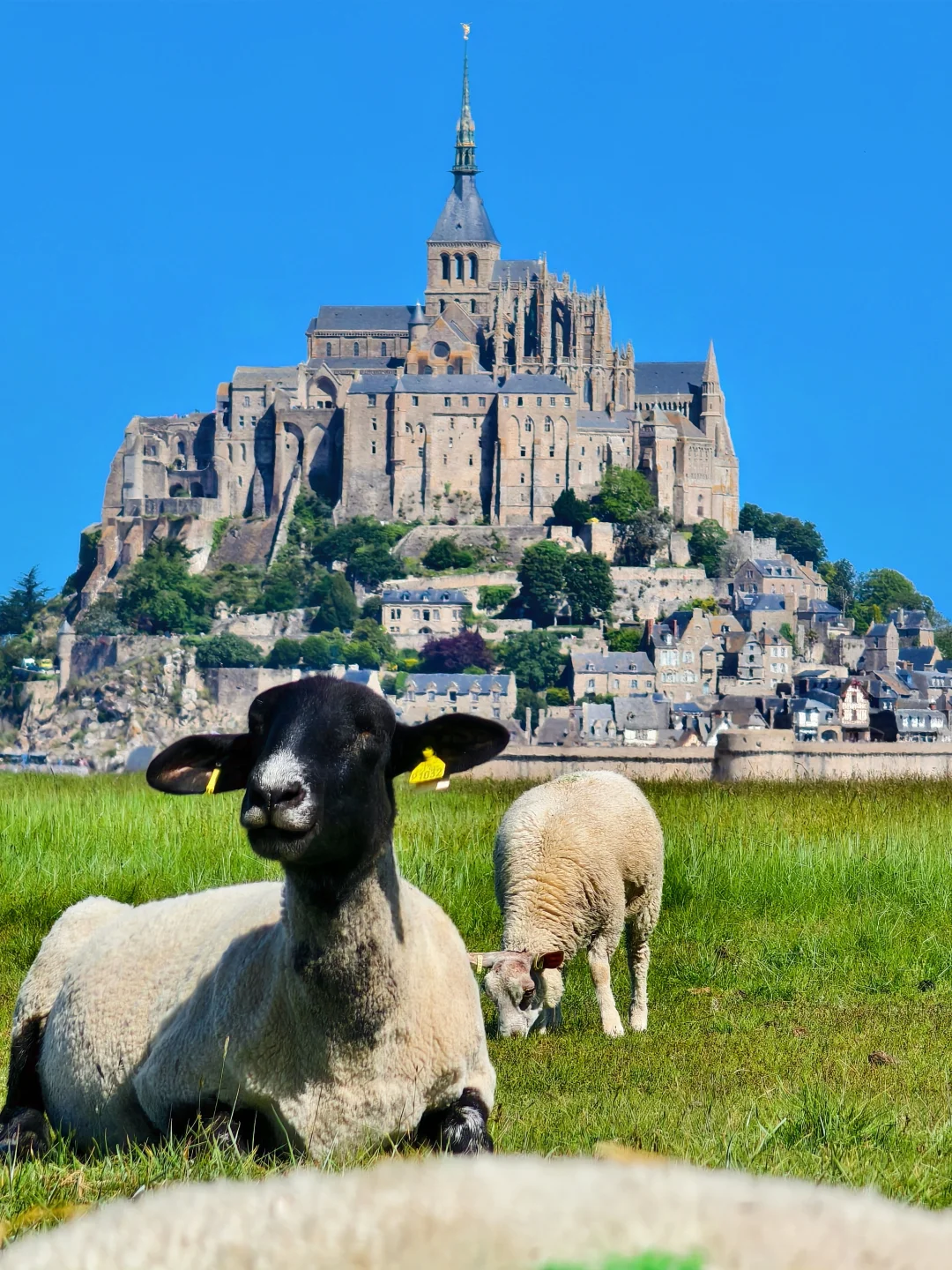 法国🇫🇷圣米歇尔山 有效攻略来了