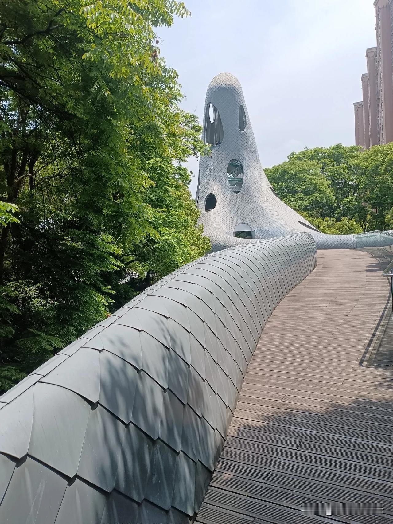 漫步苏州河以前只知道上海市内有条著名的河叫苏州河，却从未到过，当得知它就在长风