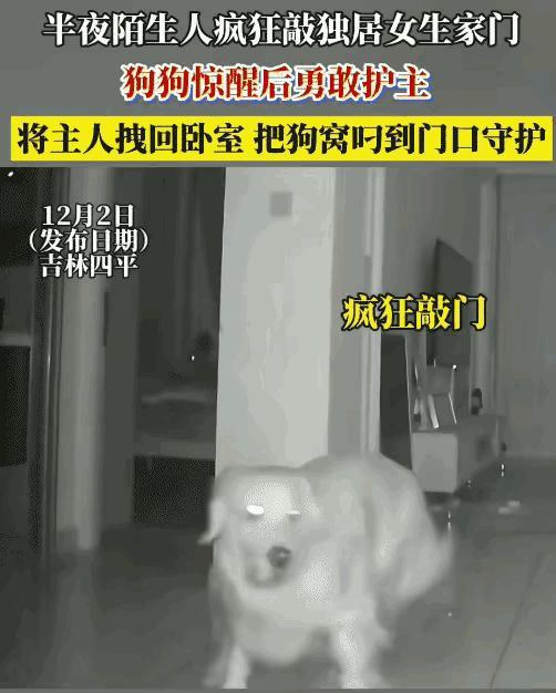 独居女生半夜遭陌生人疯狂敲门，指纹锁还接连传出“验证失败”的提示音，睡得正香的她