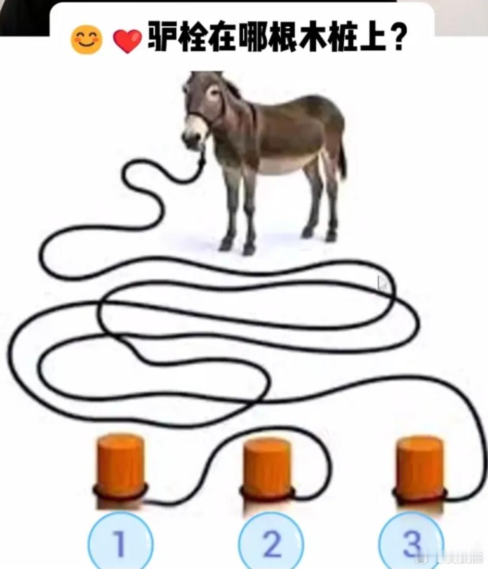 一道很让我无语的题。请问驴拴在哪根柱子上？​​​