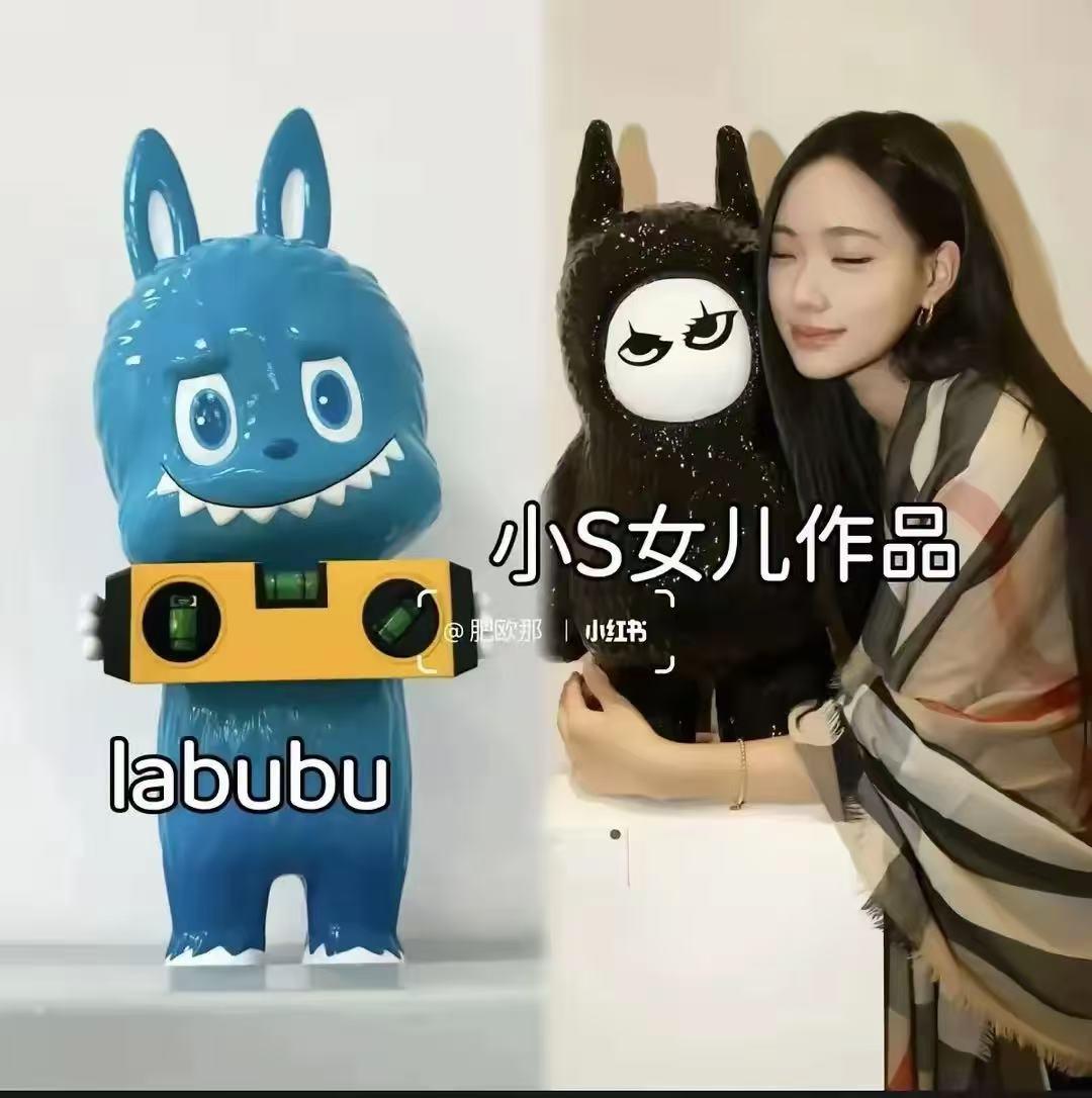 不是，小S二女儿是怎么好意思说自己是借鉴、参考啊？这不就是照葫芦画瓢，妥妥的抄袭