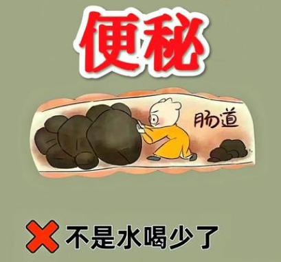 四个小妙招让你大便畅通，远离便秘1.麻仁润肠芄——肠燥津亏型便秘症状：大便