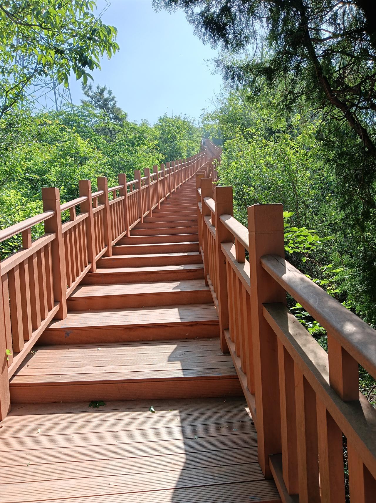 比邻两个公园，风景优美，空气清新，苍松翠柏，绿树成荫，还都免费今天将近早7点