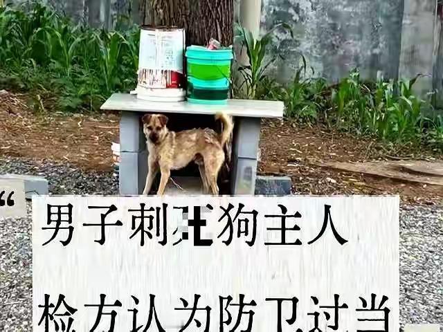 看了山西长治“狗咬人反杀”案件发生时的视频才真感觉死者一点也不冤枉。9个彪形大