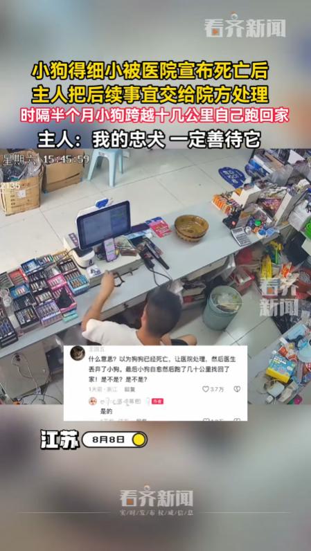“太感人了！”江苏宿迁，一只九个月大的小狗感染细小病毒，主人送到宠物医院后，它被