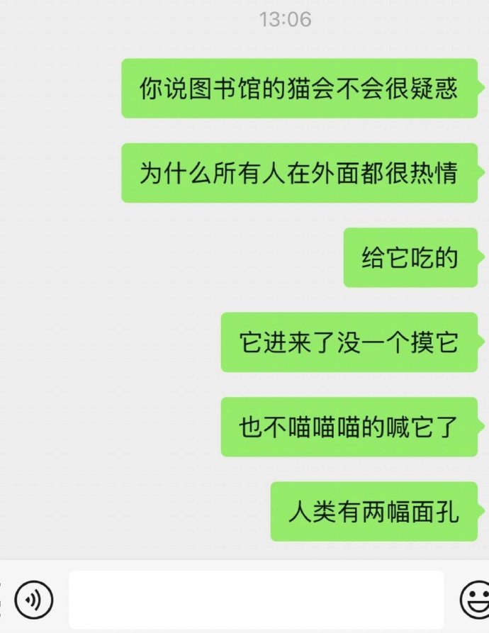 图书馆的猫会不会很疑惑​​​​