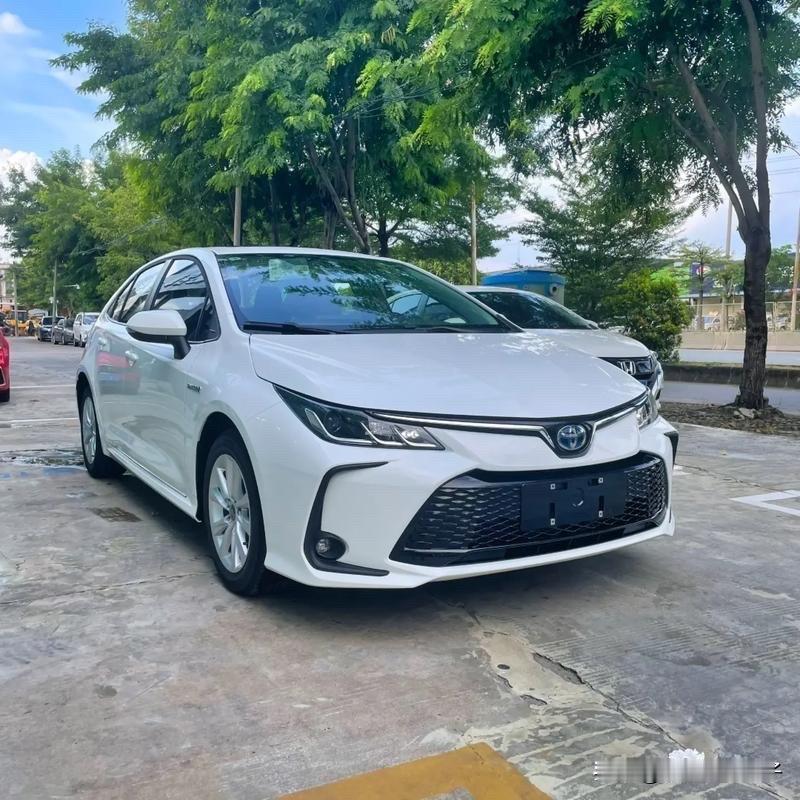 选家用车，我真心首推卡罗拉双擎。平时上下班、接娃、买菜、全家出门，它都特别省