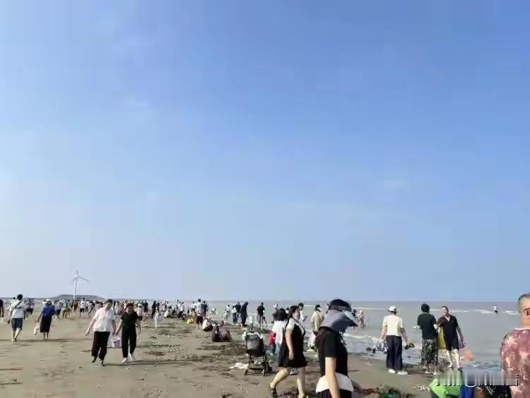 江苏网红景区小火车坠海致4人遇难,善后完成调查已启动,景区暂停业最近江苏南