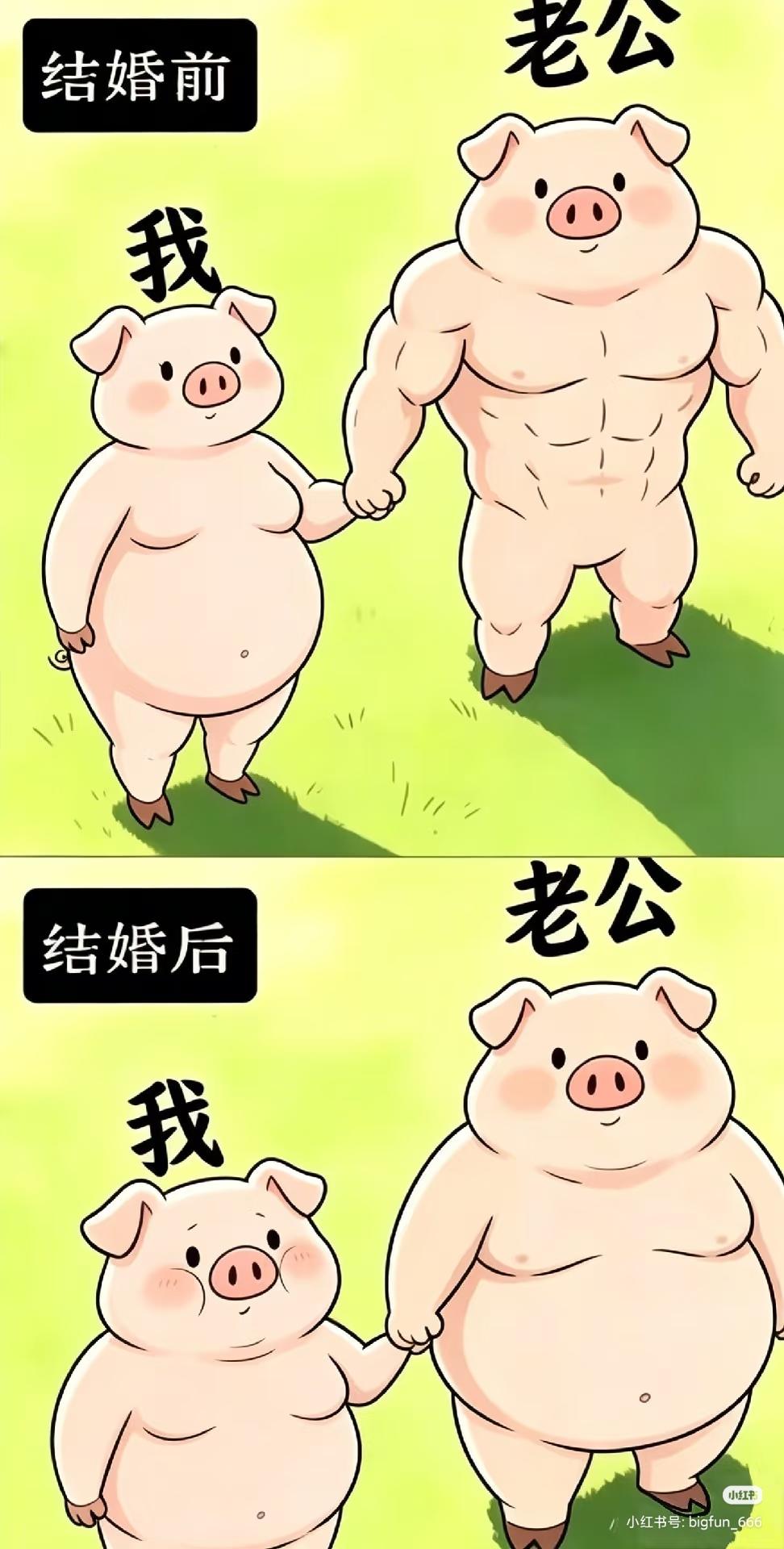 哈哈😄