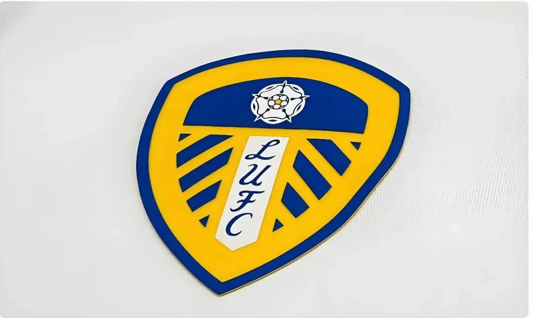 还记得25年前的这支球队吗？25年前拥有阿兰史密斯、科威尔、费迪南德等名将的利