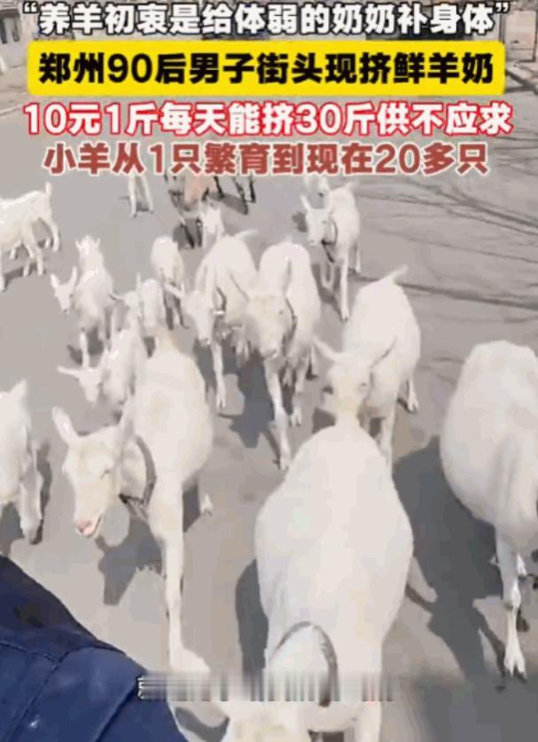 太大胆了！河南，一男子因奶奶患有营养不良性贫血，便买来一只羊，想用新鲜羊奶为老人