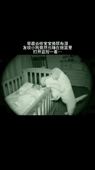 “泪目了！”一女子让宝宝独自睡摇篮，早上起来给宝宝换尿不湿时，却意外发现家里小狗