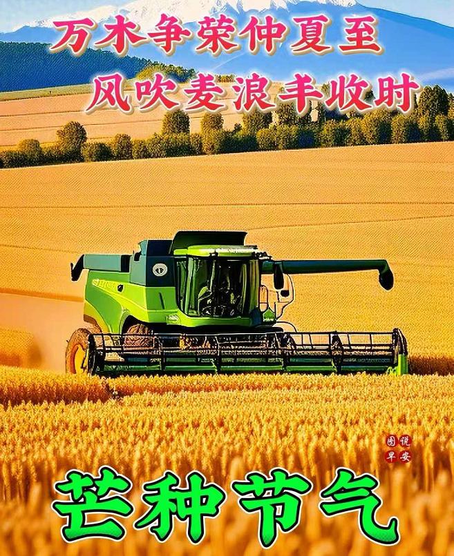 今天是6月5日，周五，又是一年芒种到，种上快乐，收获笑声，种上吉祥，收获幸福，种